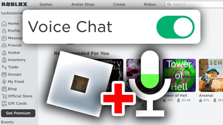 Roblox Voice Chat Unlock